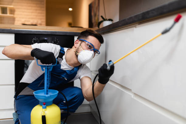 Best Local Pest Control Services  in Dunlap, IN