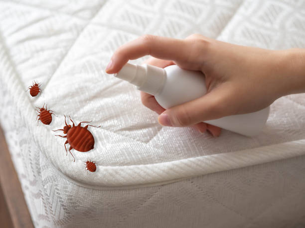 Best Bed Bug Extermination  in Dunlap, IN