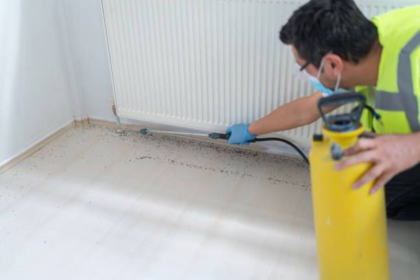 Best Ant Control Services  in Dunlap, IN