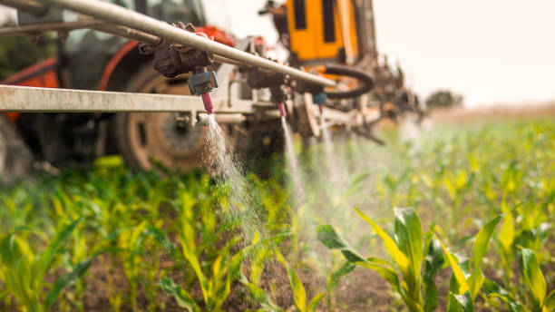 Best Mosquito Control Services  in Dunlap, IN
