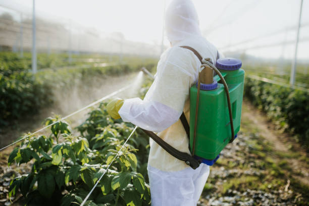 Best Wasp Removal Services  in Dunlap, IN